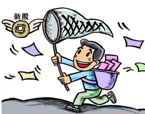 君禾股份(603617)中簽號查詢及進(jìn)出口業(yè)務(wù)解析